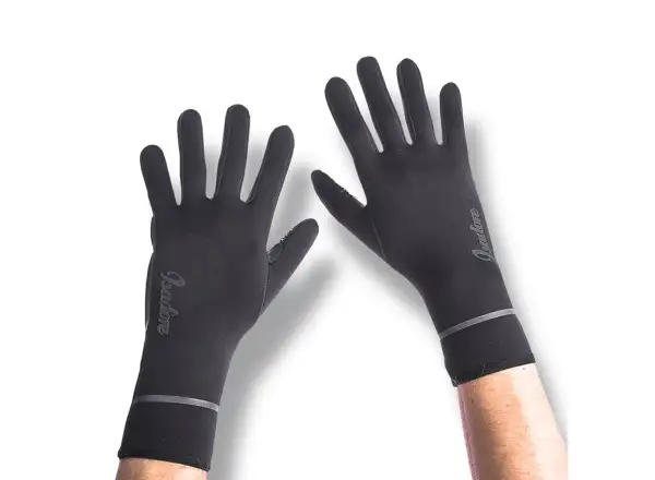 Isadore Winter gloves Black