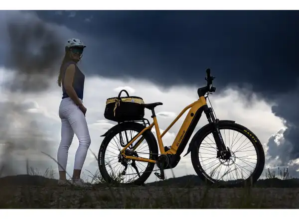 Ecobike Expedition 1080 Wh Yellow SUV trekking e-bike