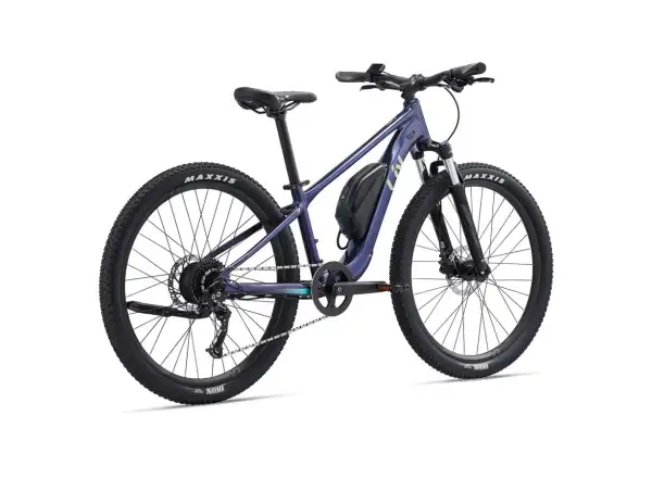 Liv Tempt E+ Junior 26 kids e-bike Milky Way