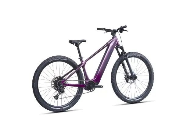 Crussis e-Fionna AX 9.12-M2S(600) mountain e-bike