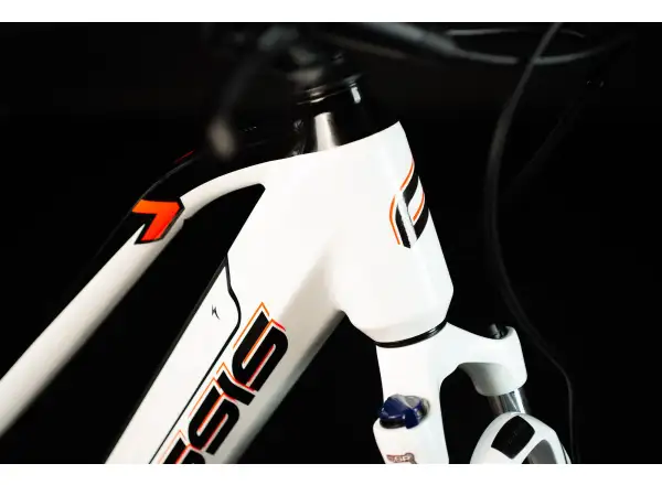 Crussis e-Cross low 7.8 (522 Wh) cross e-bike