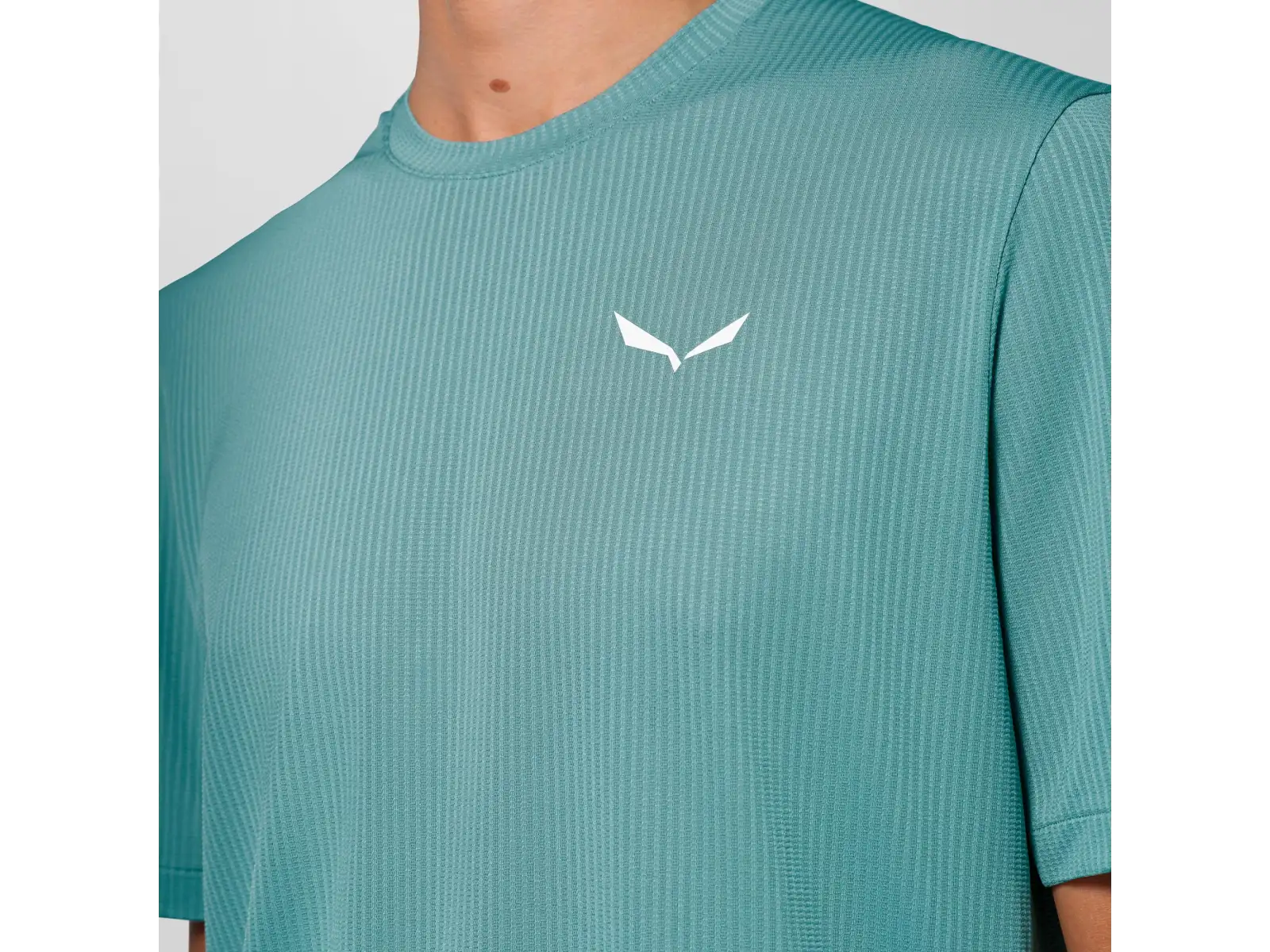 Salewa Pedroc Dry Light men's short sleeve T-shirt Willow