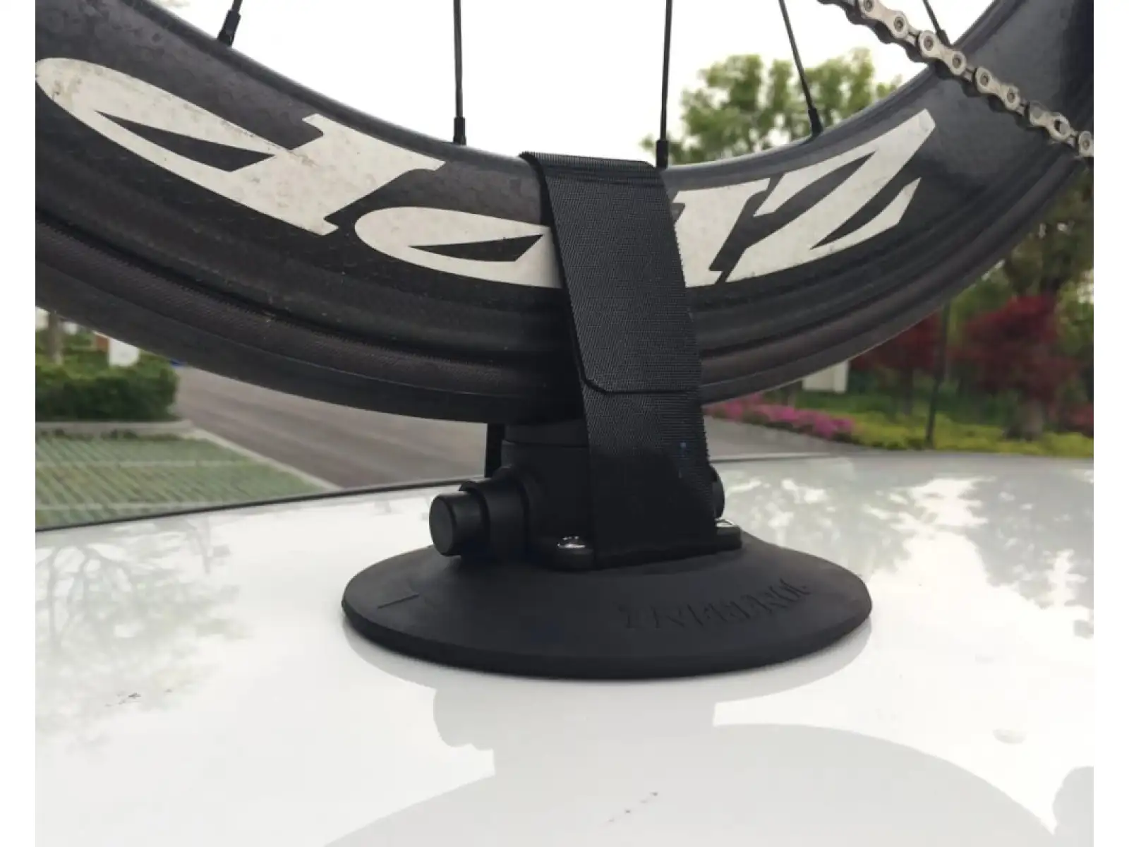 TreeFrog rear wheel holder