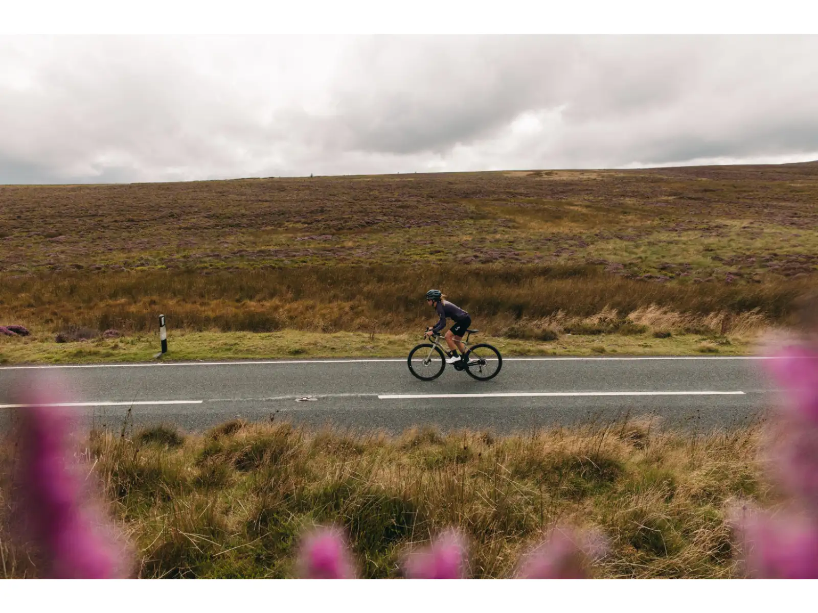 Liv Avail Advanced Pro 1 road bike Golden Haze