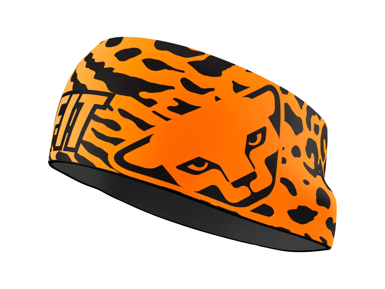 Dynafit Graphic Performance headband Cabana/Gradient