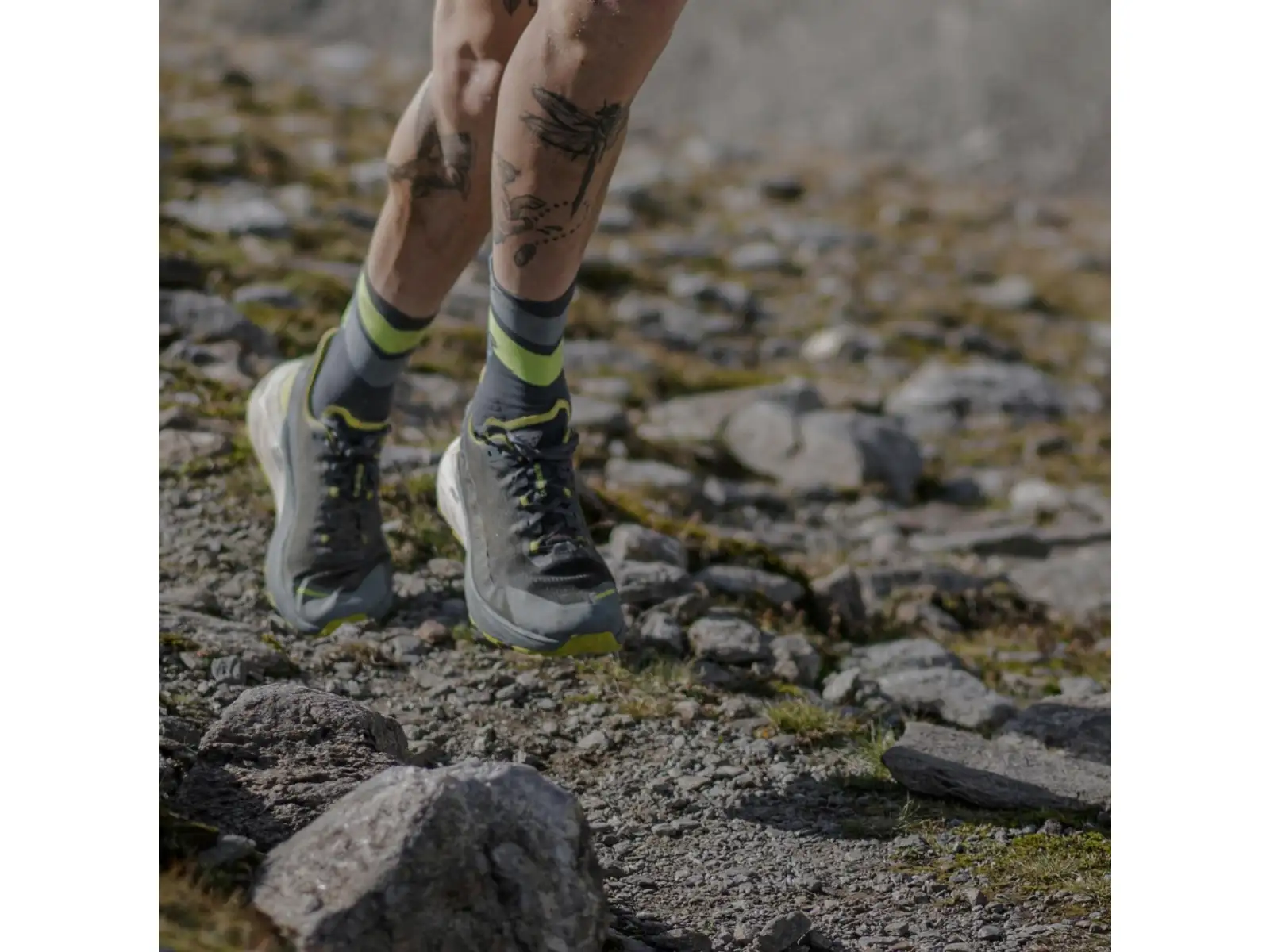 Dynafit Run Wild Crew running socks Pink Glo/0720