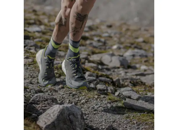 Dynafit Run Wild Crew running socks Pink Glo/0720