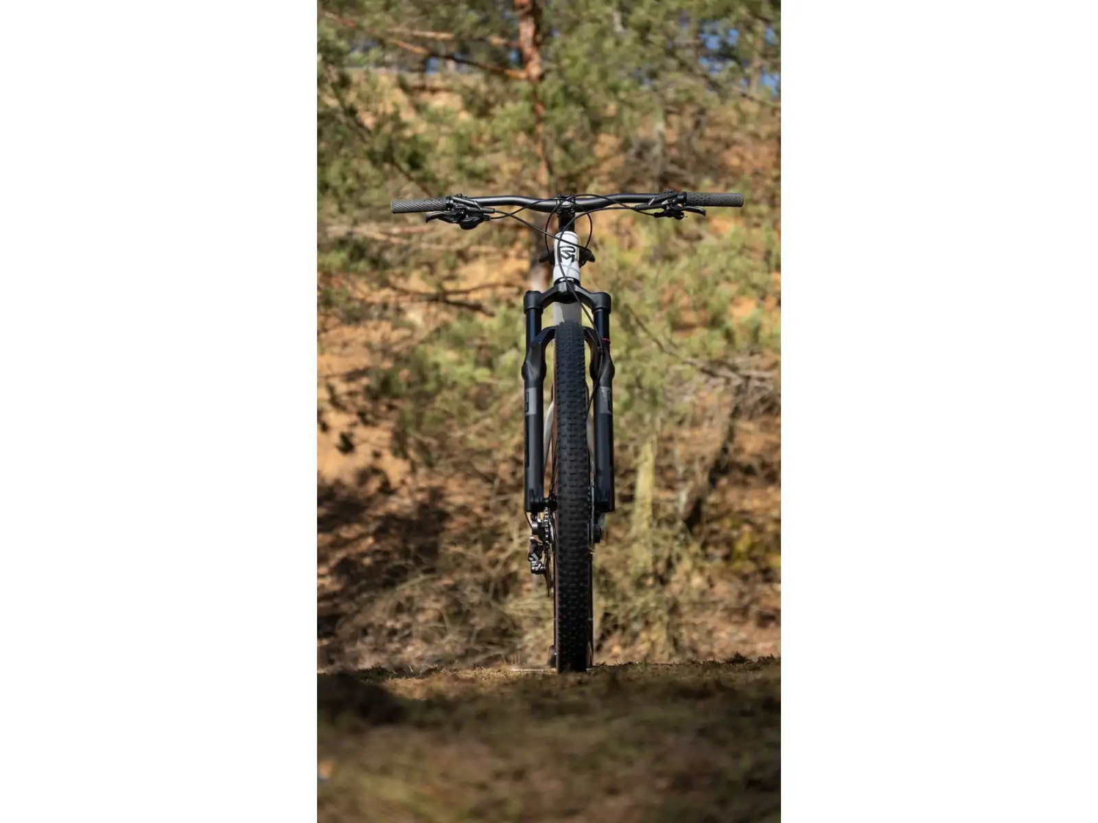 Rock Machine Blizz Cr 70 mountain bike Gloss Limerock Grey