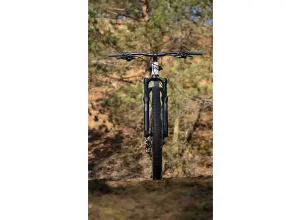 Rock Machine Blizz Cr 70 mountain bike Gloss Limerock Grey