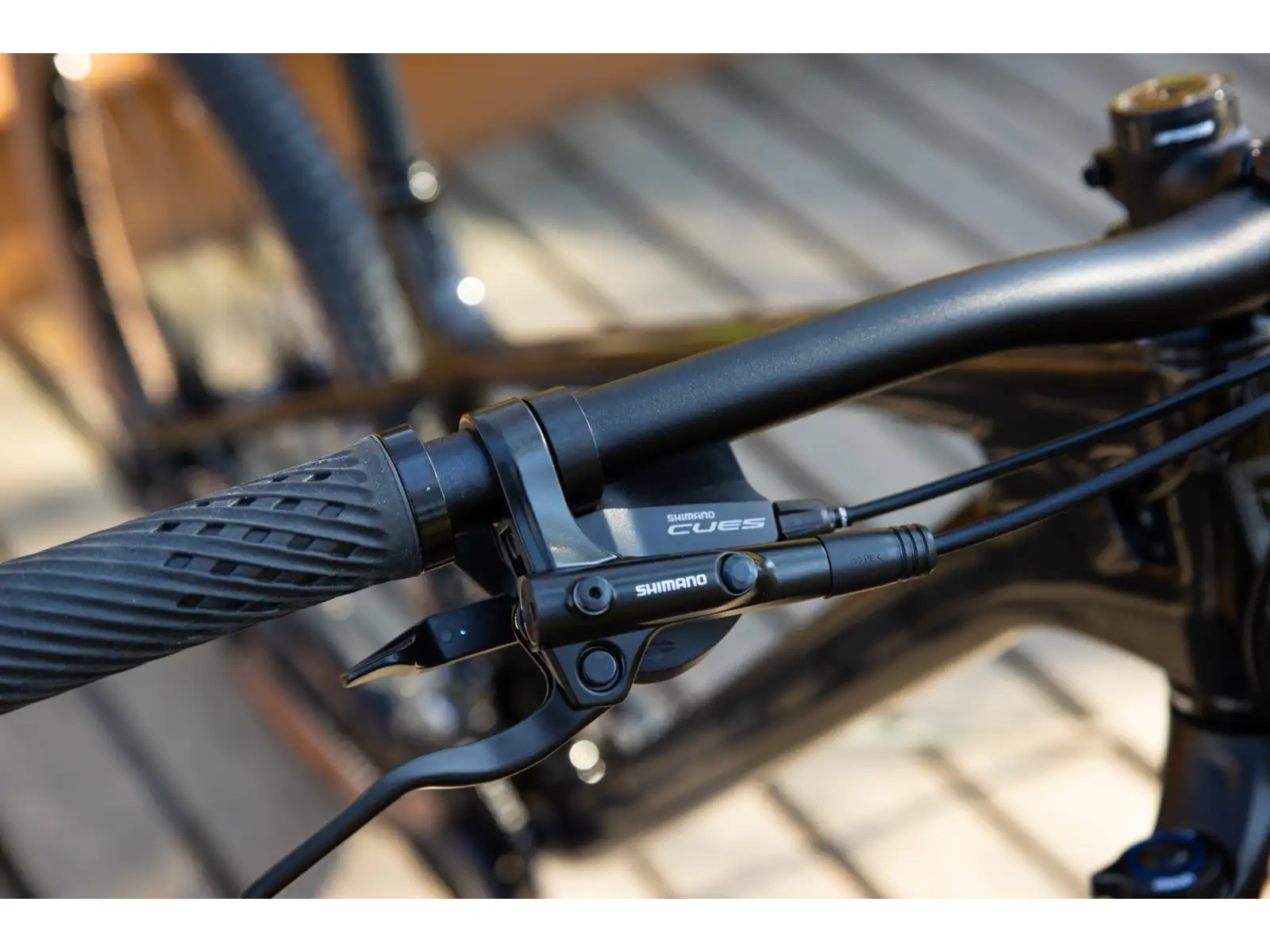 Rock Machine Blizz Cr 20 mountain bike Gloss Basalt Black