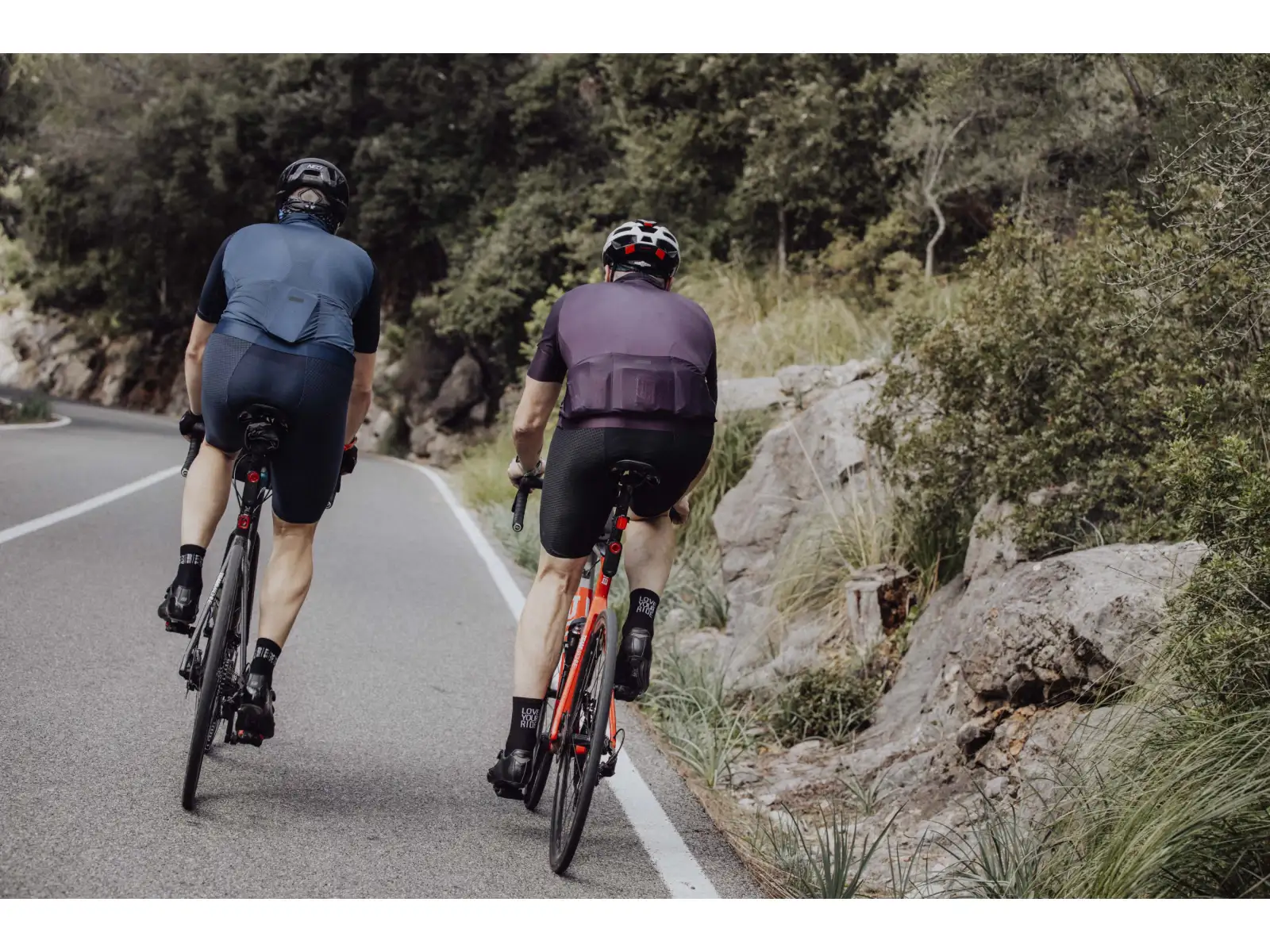 Force F Winner bib shorts with padding black