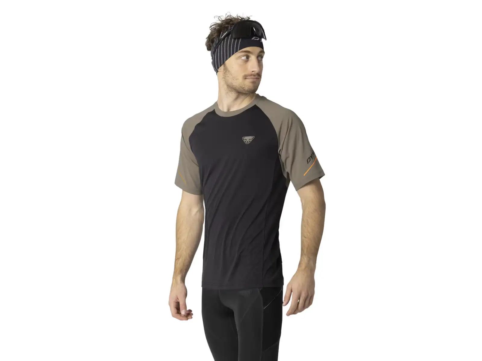 Dynafit Alpine Pro men's running shirt Fallen Rock