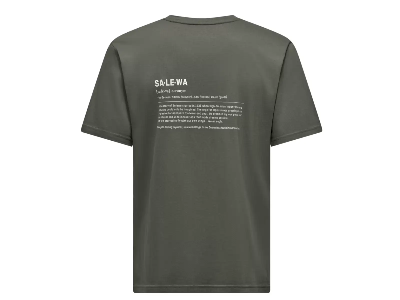 Salewa Eagle Vocab men's short sleeve T-shirt Faded Green