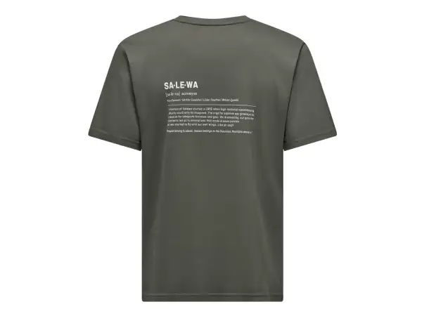 Salewa Eagle Vocab men's short sleeve T-shirt Faded Green