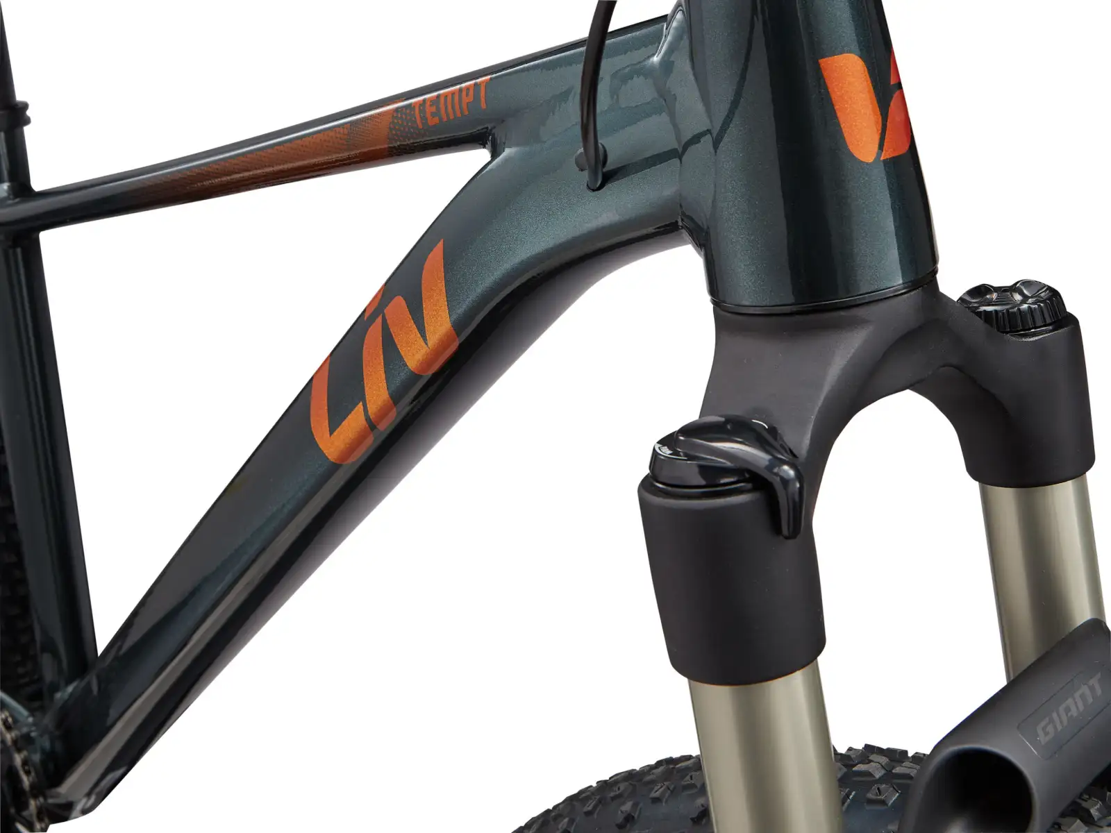 Liv Tempt 0 women's mountain bike 29" Asphalt Green