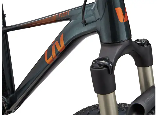 Liv Tempt 0 women's mountain bike 29" Asphalt Green