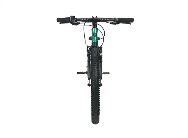 Rascal 20 Limited kids bike Emerald