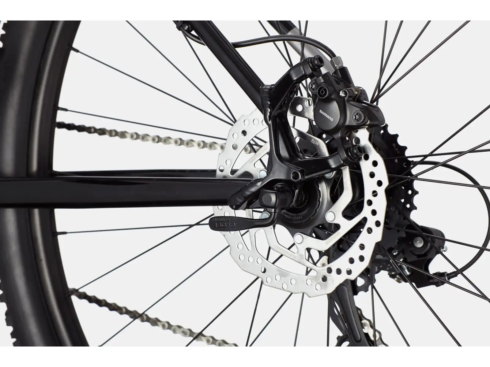 Cannondale Trail 8 29" mountain bike Grey