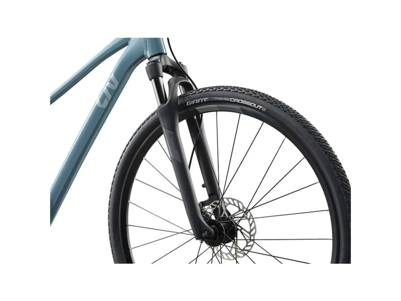 Giant Rove 2 trekking bike Storm Cloud
