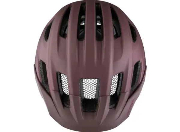 Alpina Paranus Mips helmet Raisin Matt