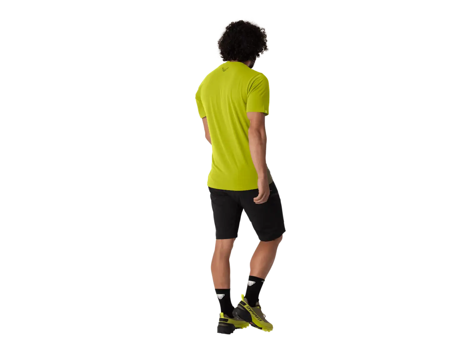Dynafit Transalper Graphic men's short sleeve T-shirt Golden Lime