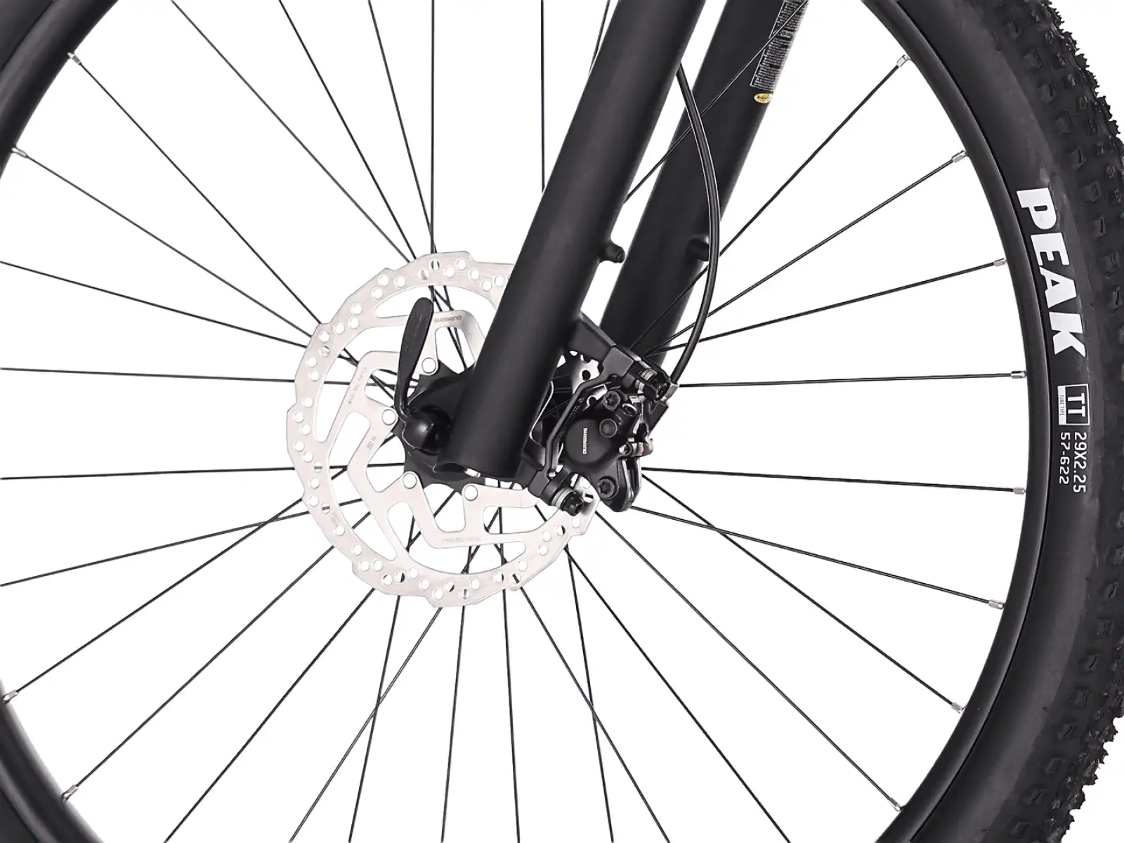 Rock Machine Blizz 20 mountain bike Gloss Night Storm