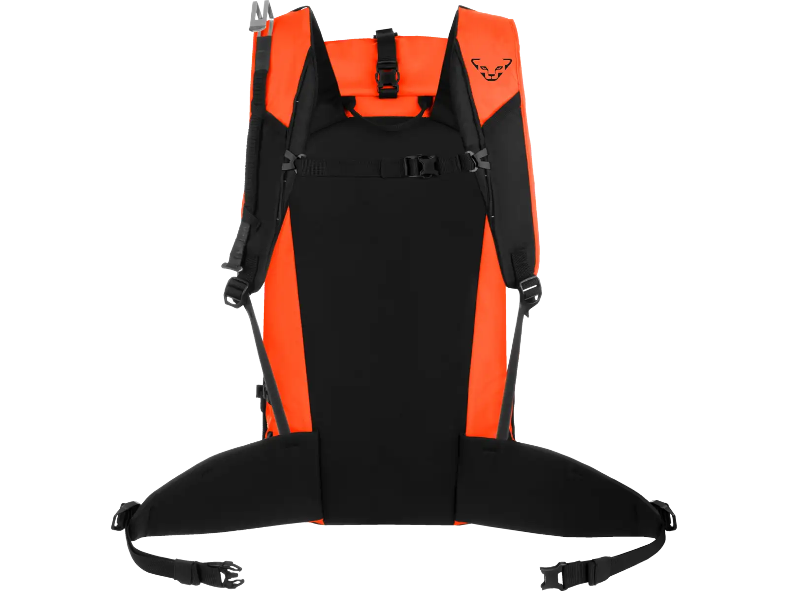 Dynafit Expedition backpack 36 l Dawn/Black Out