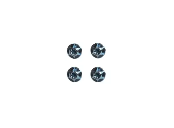 Silca Ti bolt set for cage Aqua