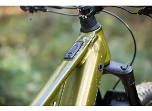 Superior eXF 9049 B full-suspension e-bike Gloss Olive Mettalic/Black