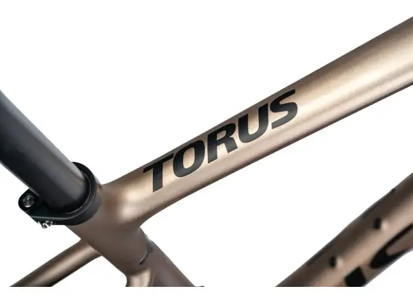 Isaac Torus Xplore GRX610/RX820 2x12 gravel bike Blast Bronze