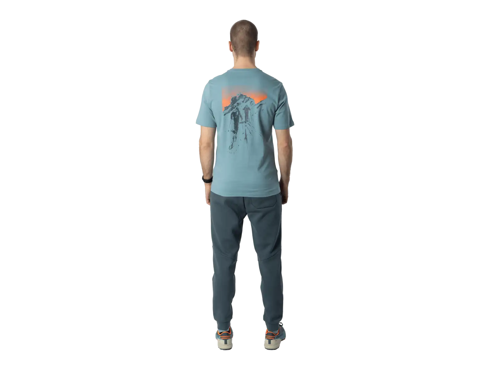 Dynafit Back Graphic Cotton men's T-shirt short sleeve Smoke Blue/Approach