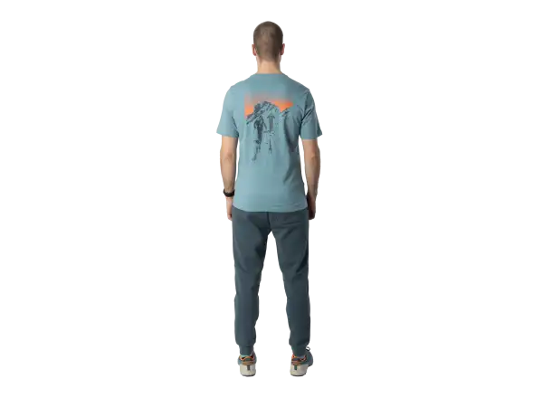 Dynafit Back Graphic Cotton men's T-shirt short sleeve Smoke Blue/Approach