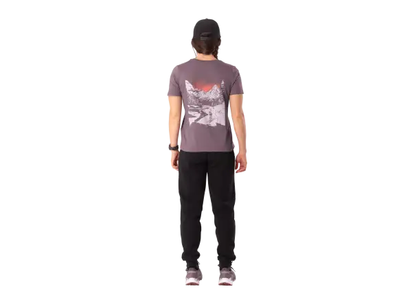 Dynafit Back Graphic Cotton women's T-shirt short sleeve Ephemera/Valley