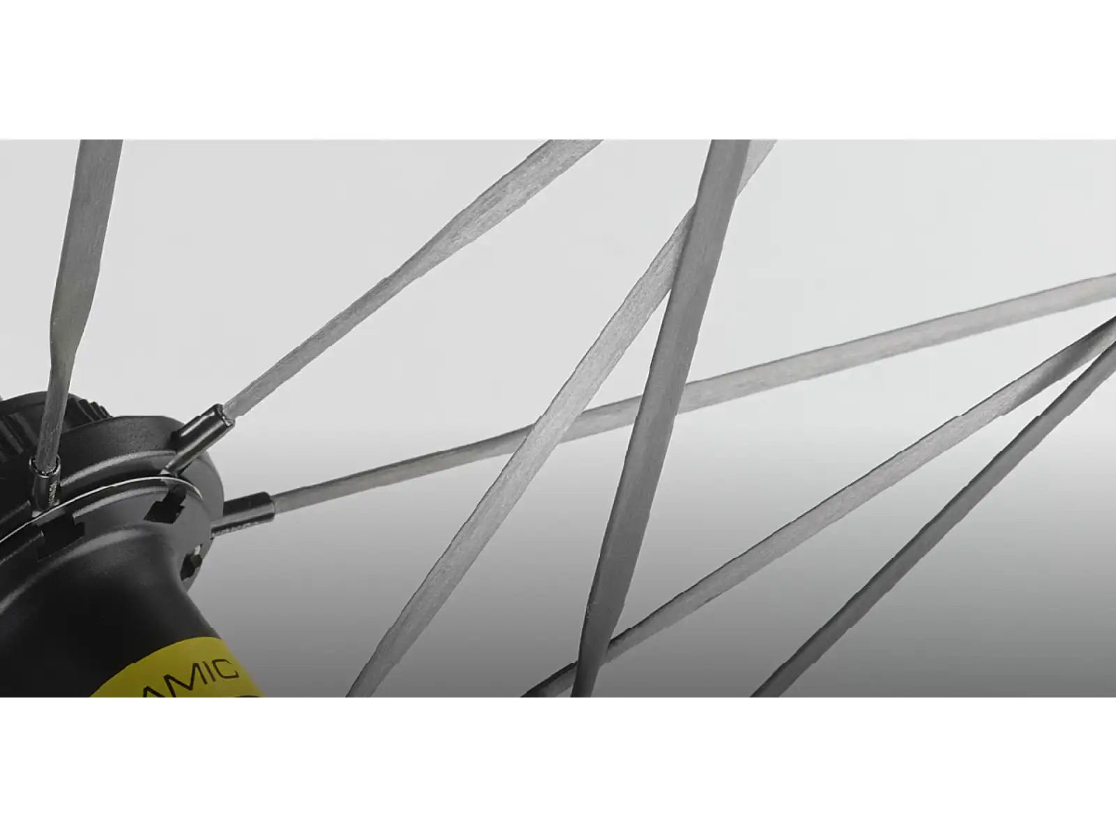 Mavic Comete 50 Disc CL road wheelset freehub Shimano HG11