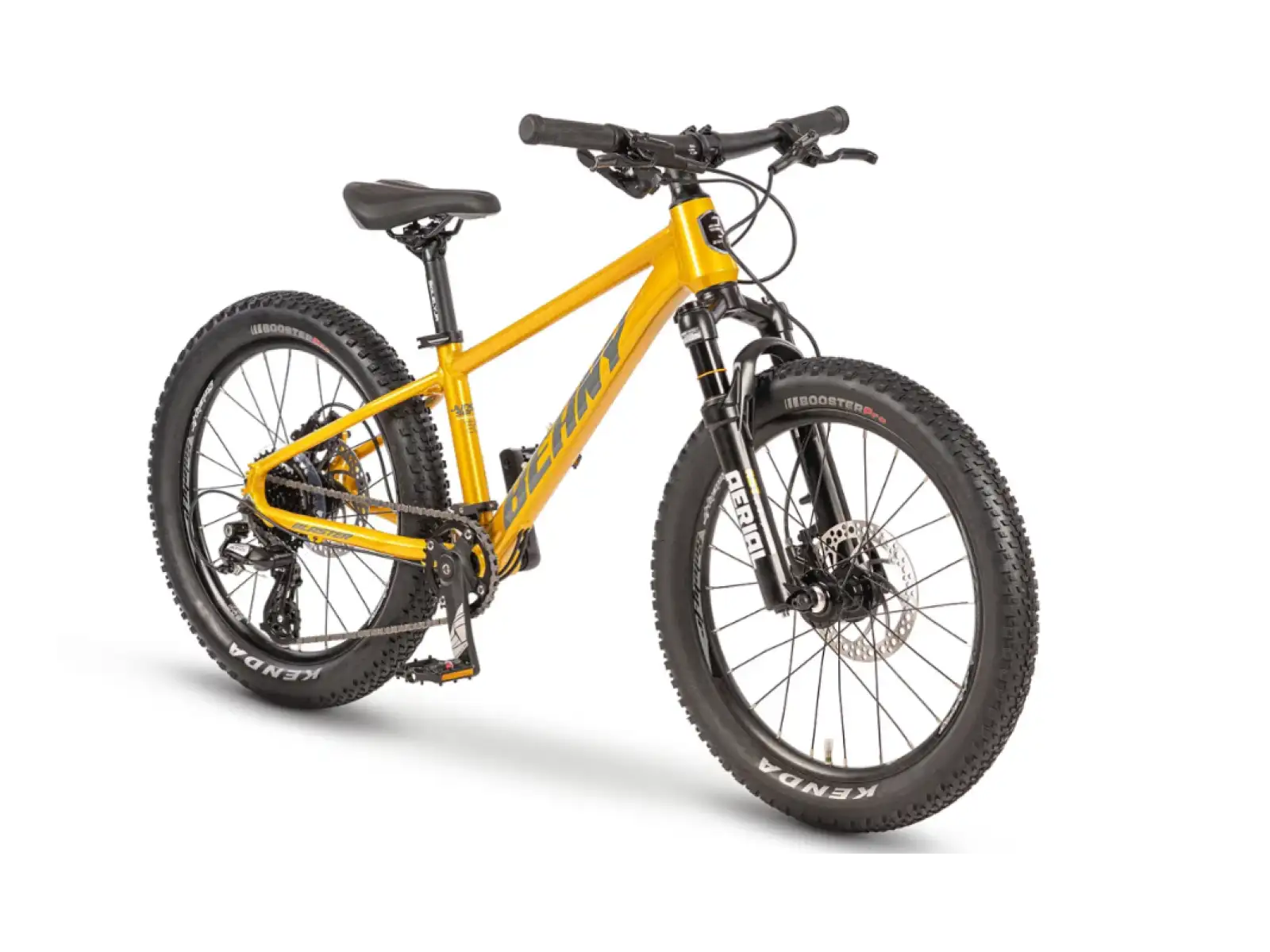 Beany Blaster 20 children's bike Gold
