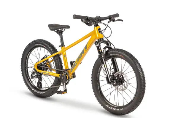 Beany Blaster 20 children's bike Gold