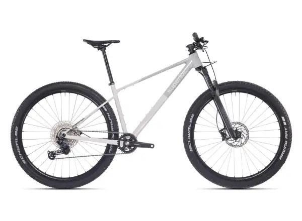 Superior XP 6.2 mountain bike Gloss Grey