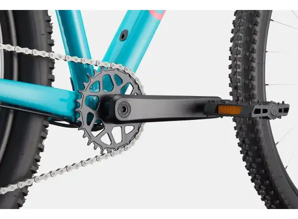 Cannondale Trail 2 29" mountain bike Ion Blue