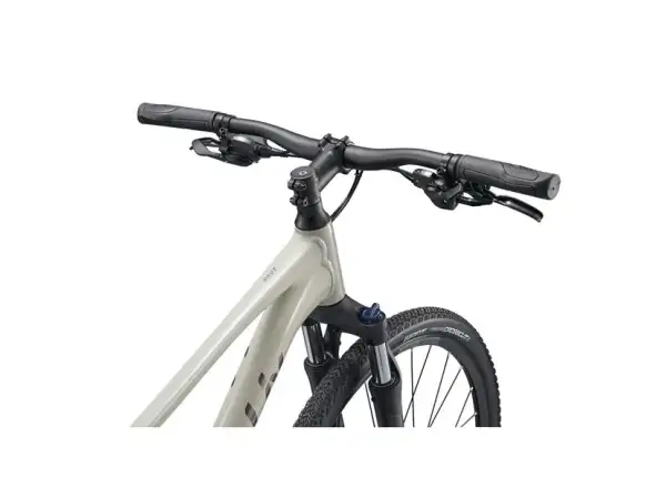 Giant Rove 3 trekking bike Pulp Gray