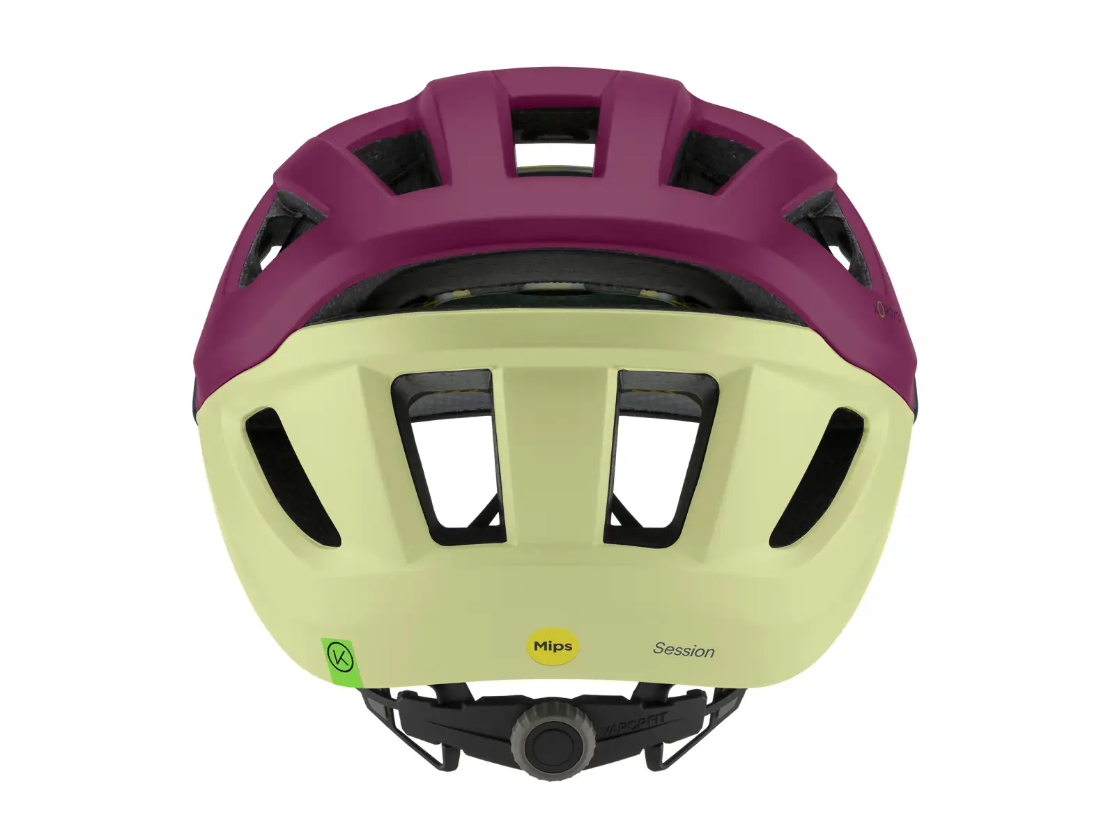Smith Session Mips helmet Matte Huckleberry/Lichen