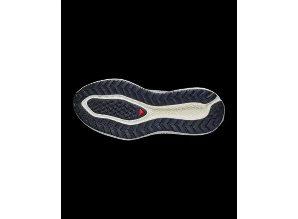 Salomon Aero Glide 4 GRVL men's running shoes Vanila/Black/Iron