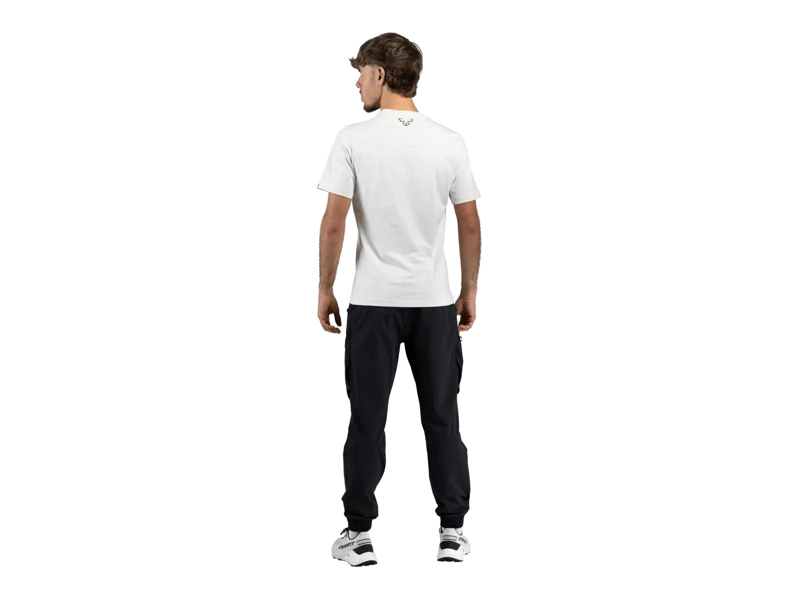 Dynafit Graphic Cotton men's T-shirt short sleeve Nimbus/First Track
