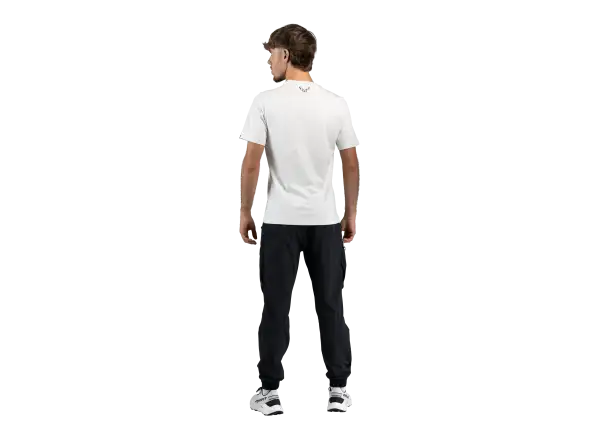 Dynafit Graphic Cotton men's T-shirt short sleeve Nimbus/First Track