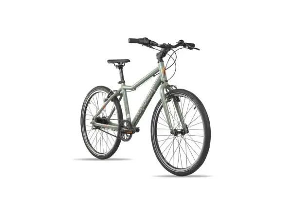 Academy Grade 5 Belt children's bike 24" olive