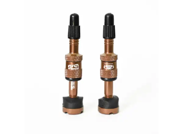 E-13 Quick Fill tubeless valves 23-31 mm 2 pcs Bronze
