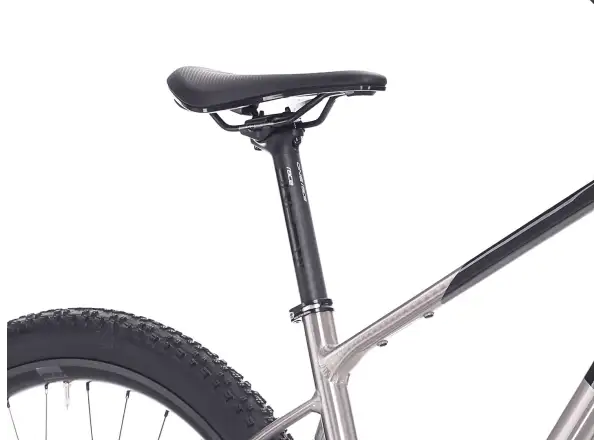 Superior XP 6.1 mountain bike Gloss Brush Alu/Black