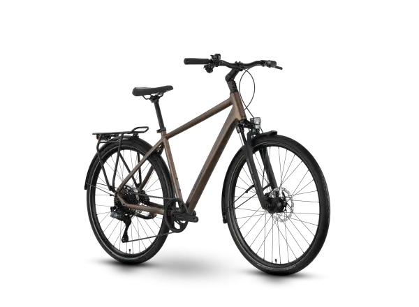 Raymon Zayn Auto Diamond trekking bike Mushroom/Black