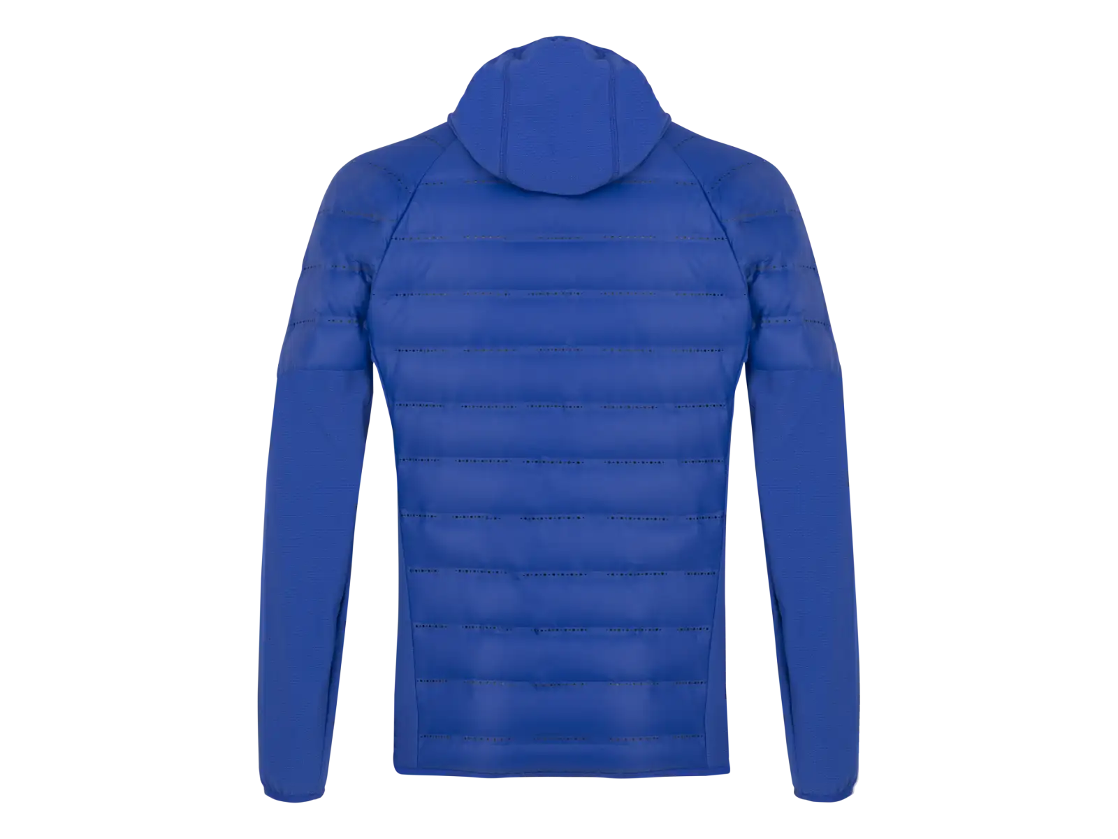 Salewa Agner Hybrid RDS DWN men's jacket Electric