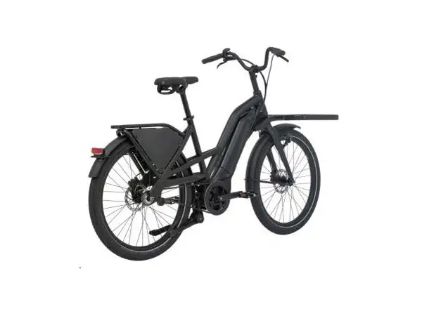 Giant Delivery E+ e-bike Black
