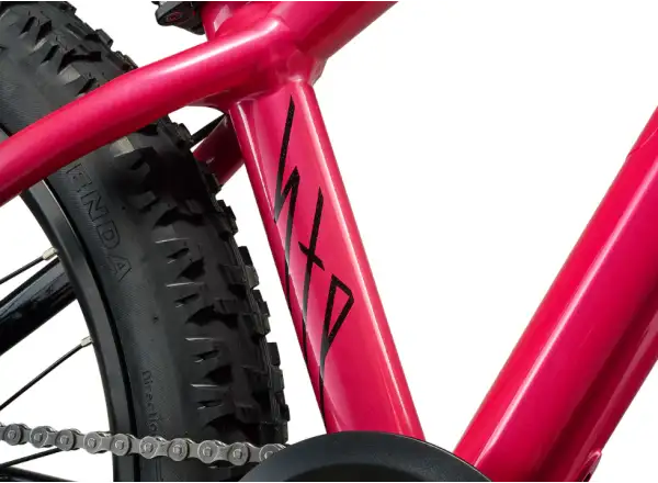 Liv STP 20 kids mountain bike Hot Pink